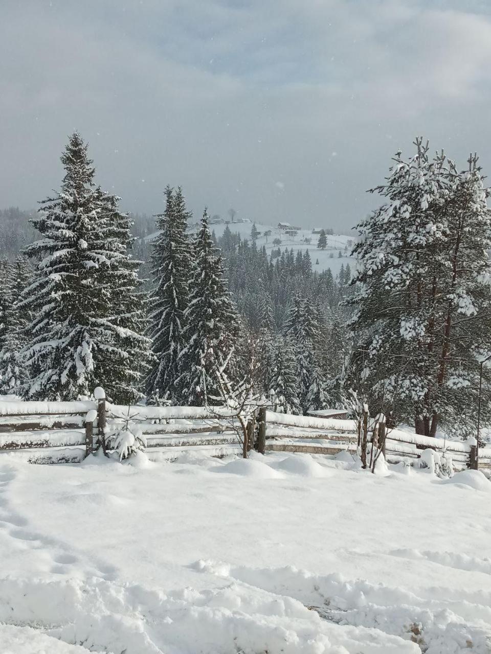 Котеджі Зоряне Небо Буковель Экстерьер фото